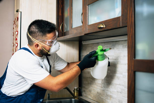 Best Emergency Pest Control  in Snellville, GA
