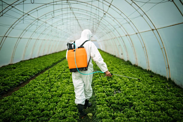 Best Affordable Pest Control Services  in Snellville, GA