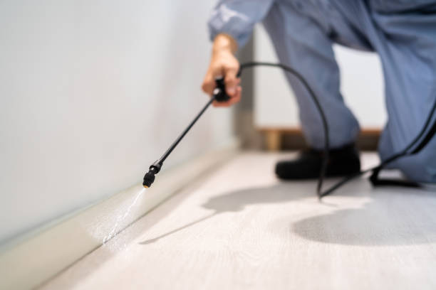 Pest Control Cost in Snellville, GA