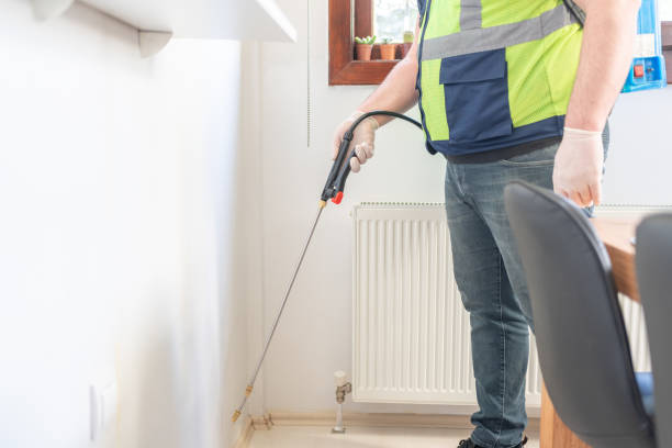 Wasp Removal Services in Snellville, GA