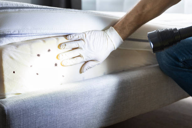 Professional Pest Control in Snellville, GA