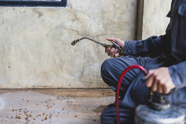 Best Best Pest Control Companies  in Snellville, GA